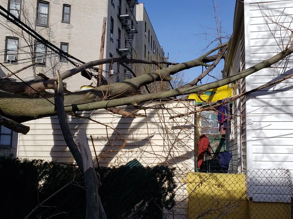 Expert landscaping services in Brooklyn, NY by Barricella Bro's Landscaping & Tree Removal