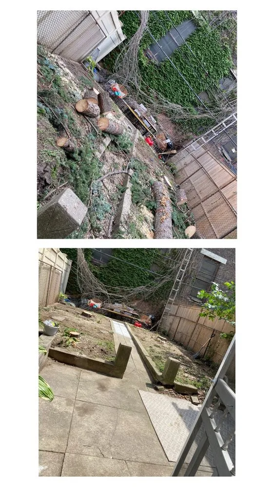 Custom yard maintenance in Brooklyn, NY - Barricella Bro's Landscaping & Tree Removal