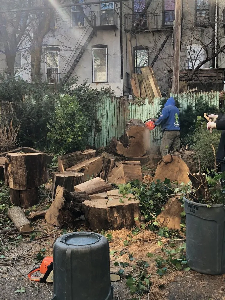 Professional landscape installation for year-round maintenance across Brooklyn, NY - Barricella Bro's Landscaping & Tree Removal
