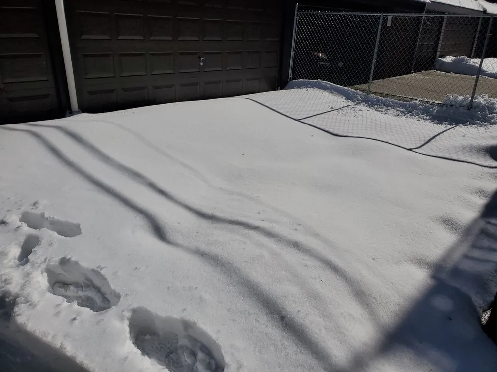 Top-rated outdoor landscaping in Brooklyn, NY by Barricella Bro's Landscaping & Tree Removal