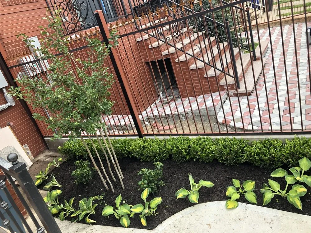 Reliable lawn care service for outdoor upgrades across Brooklyn, NY - Barricella Bro's Landscaping & Tree Removal