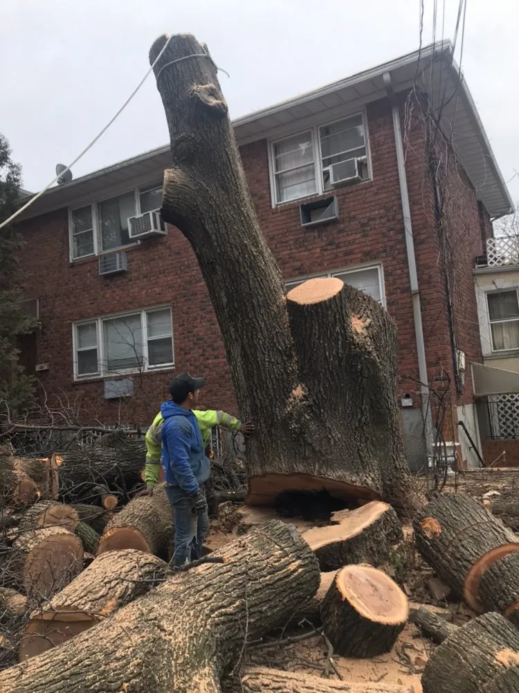 Local outdoor landscaping for outdoor upgrades in Brooklyn, NY by Barricella Bro's Landscaping & Tree Removal
