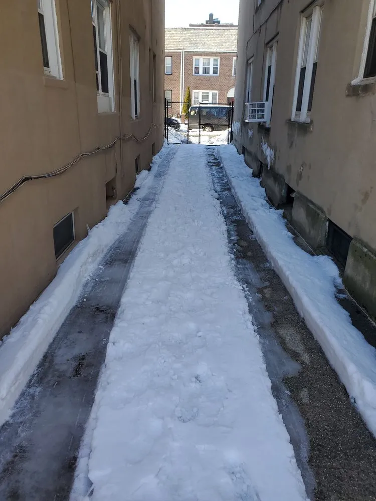 Expert yard cleanup service for year-round maintenance in Brooklyn, NY by Barricella Bro's Landscaping & Tree Removal