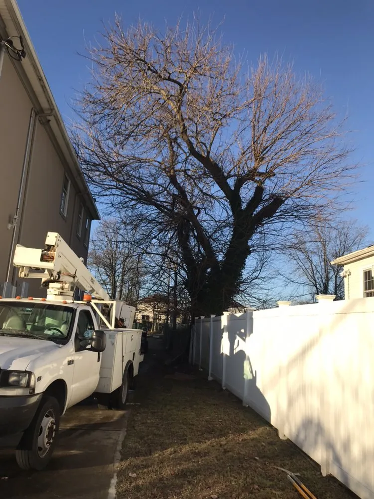 Trusted lawn mowing service near you across Brooklyn, NY - Barricella Bro's Landscaping & Tree Removal