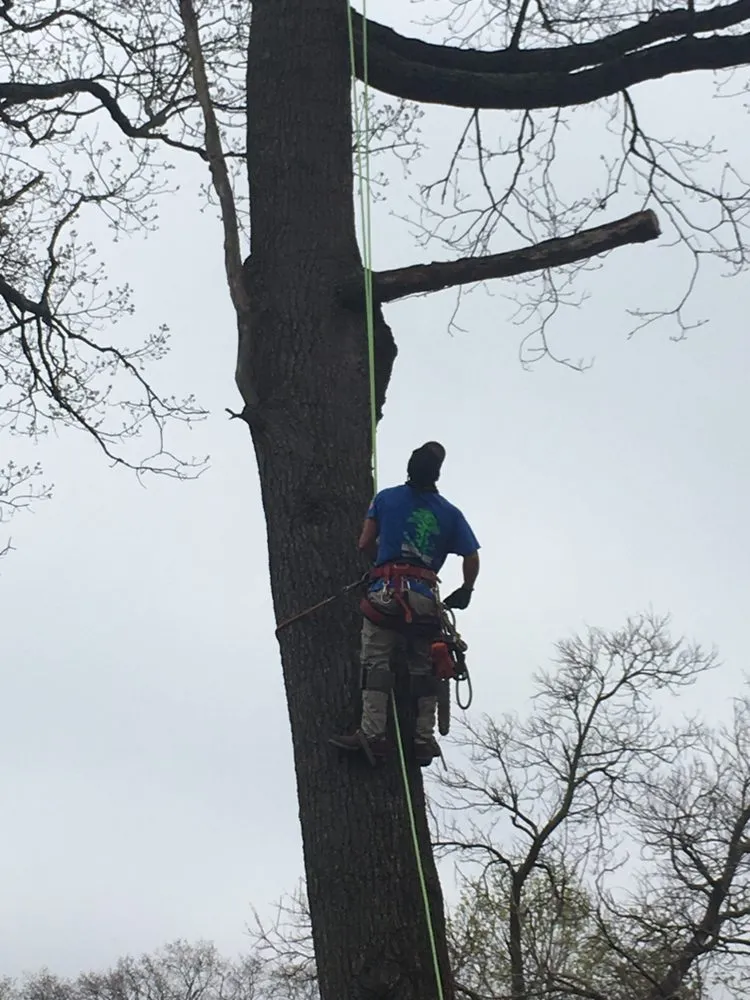 Professional garden landscaping for outdoor upgrades in Brooklyn, NY by Barricella Bro's Landscaping & Tree Removal