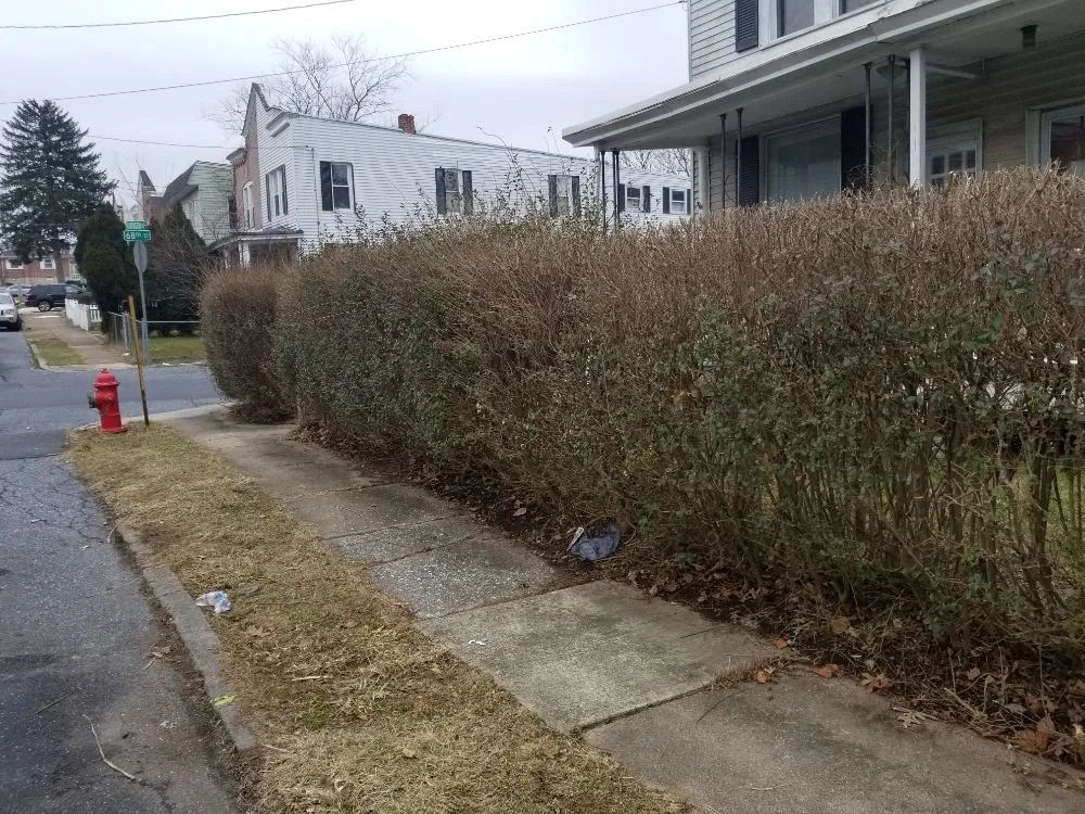 Affordable lawn care service in Summerdale, PA - Barrick Landscaping