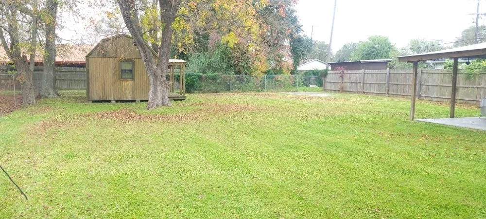Reliable yard cleanup service experts serving Port Arthur, TX - Barrientos Lawncare & Maintenance