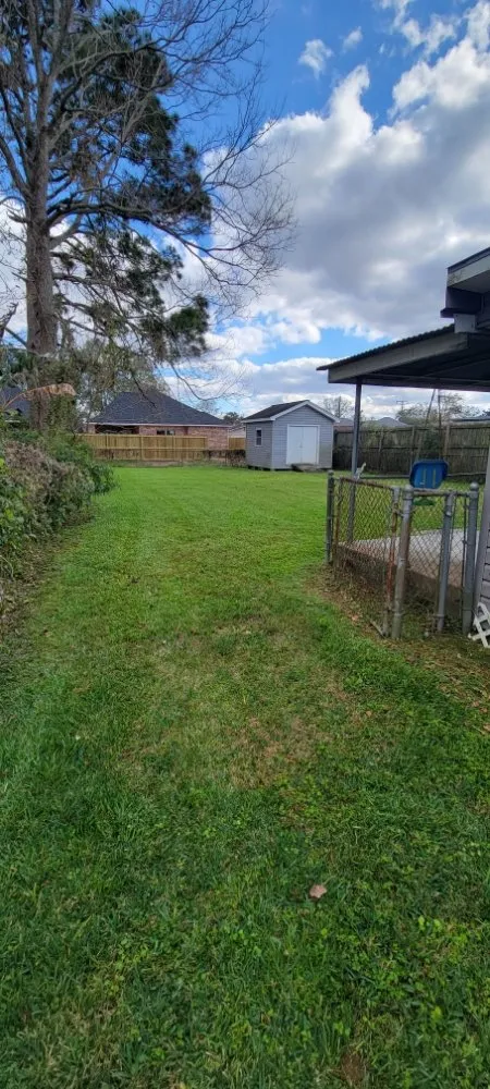 Custom landscape installation for year-round maintenance across Port Arthur, TX - Barrientos Lawncare & Maintenance