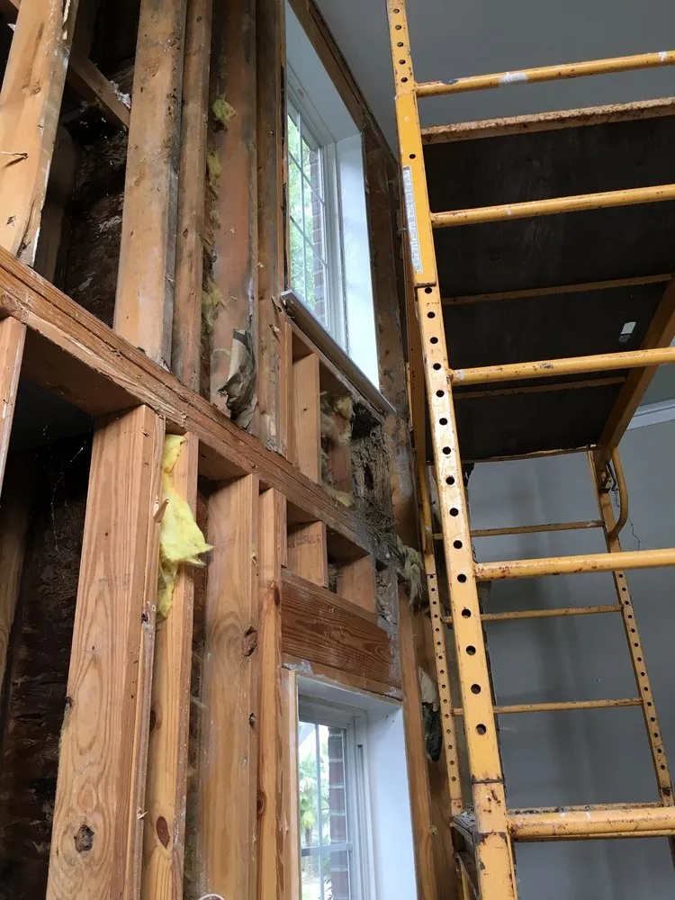 Trusted landscaping services in Charleston, SC by Barrier Islands Tree Service