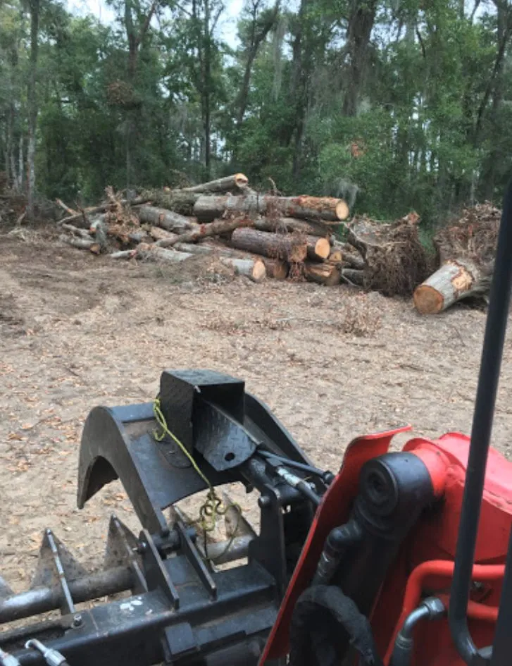 Trusted residential landscaping experts serving Charleston, SC - Barrier Islands Tree Service