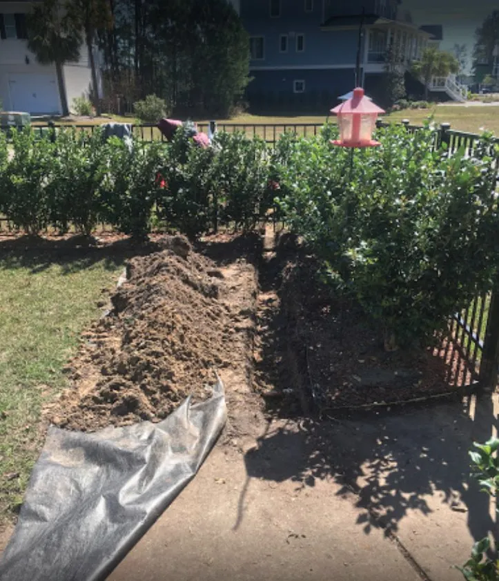 Local landscaping services in Charleston, SC by Barrier Islands Tree Service