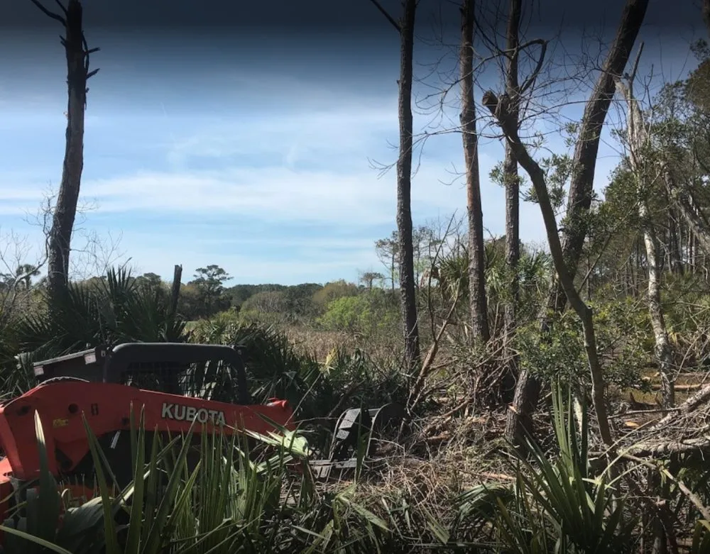 Top-rated landscape design experts serving Charleston, SC - Barrier Islands Tree Service