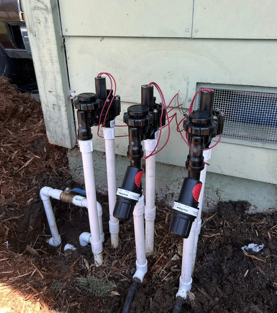 Trusted yard cleanup service experts serving Sacramento, CA - Barriga Landscaping