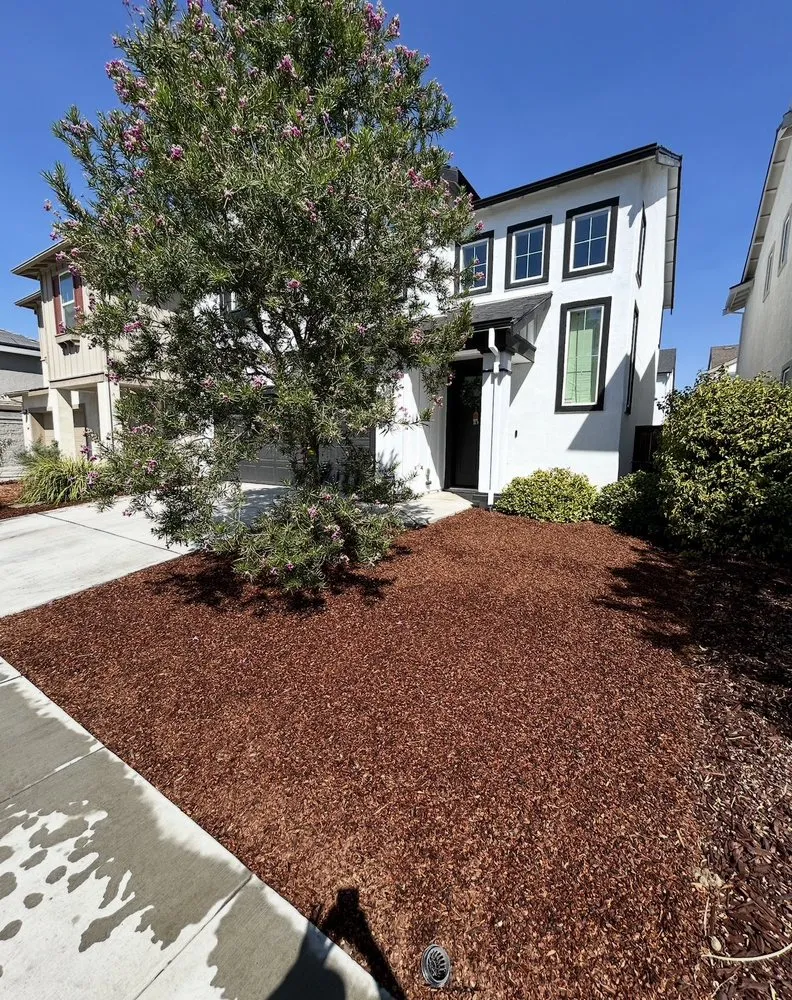 Expert yard cleanup service for residential properties in Sacramento, CA by Barriga Landscaping