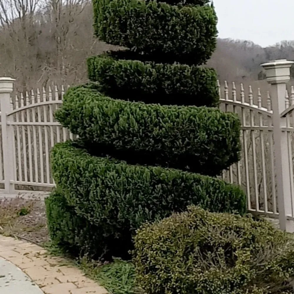 Expert yard maintenance in Newport, TN by Barrington Landscaping