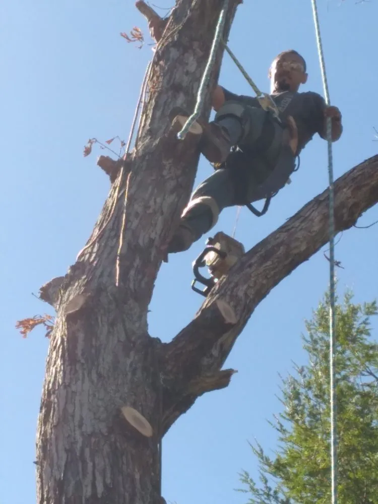 Affordable garden landscaping for beautiful yards across Newport, TN - Barrington Landscaping