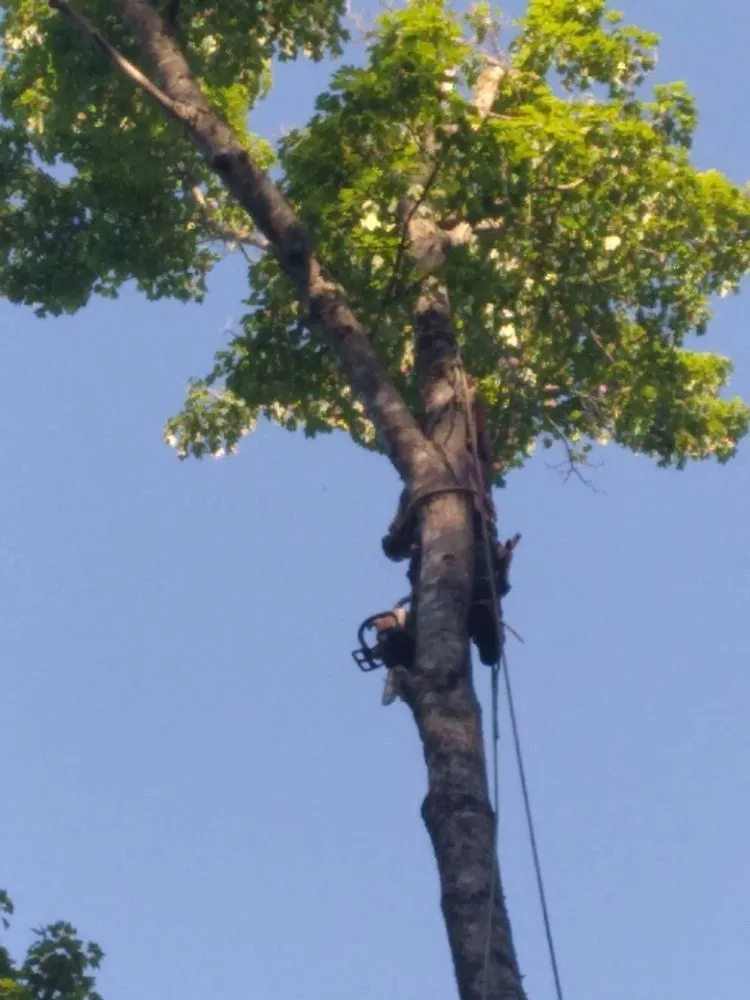 Affordable garden landscaping for beautiful yards in Newport, TN by Barrington Landscaping