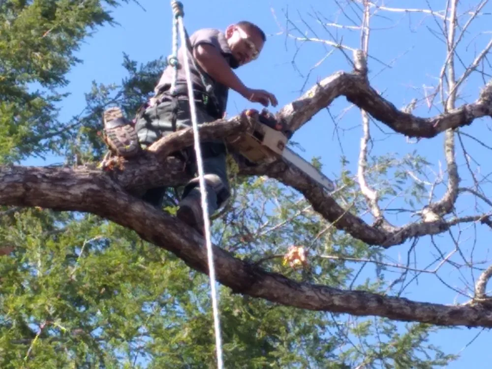 Custom landscape design with custom design in Newport, TN by Barrington Landscaping