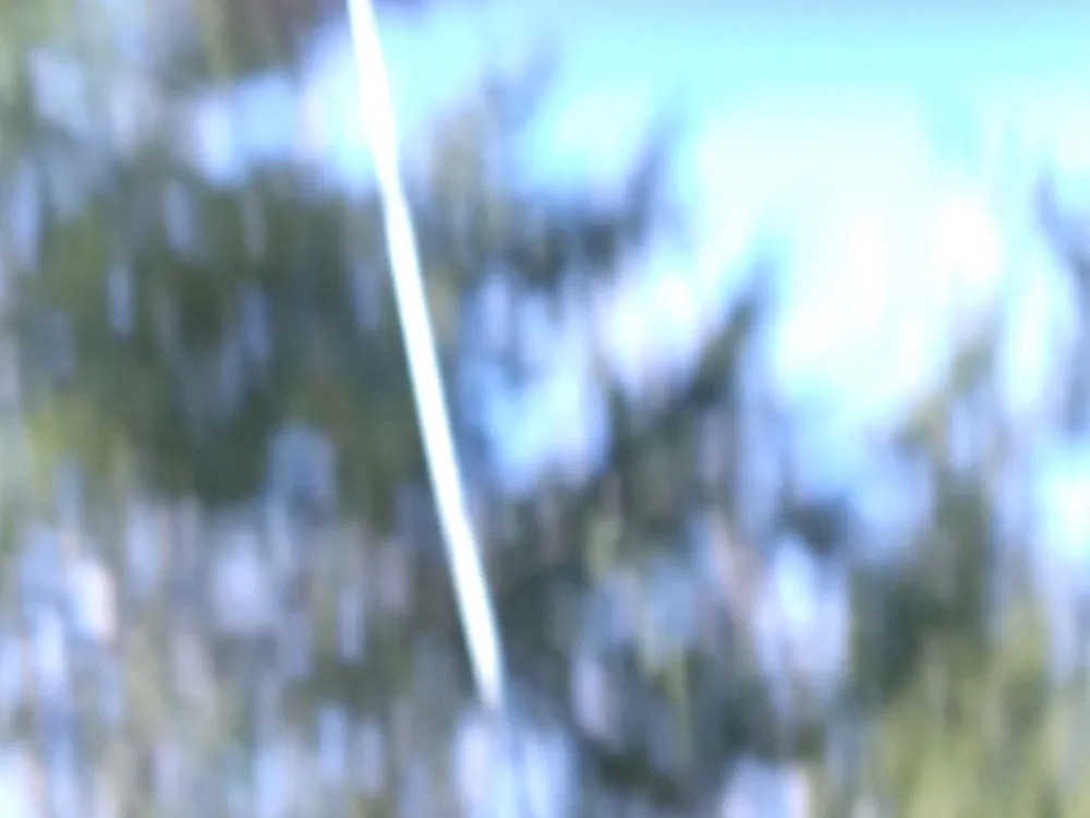 Affordable landscaping services near you in Newport, TN by Barrington Landscaping