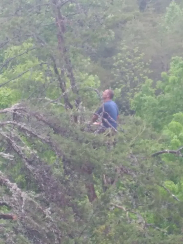 Expert yard maintenance in Newport, TN - Barrington Landscaping