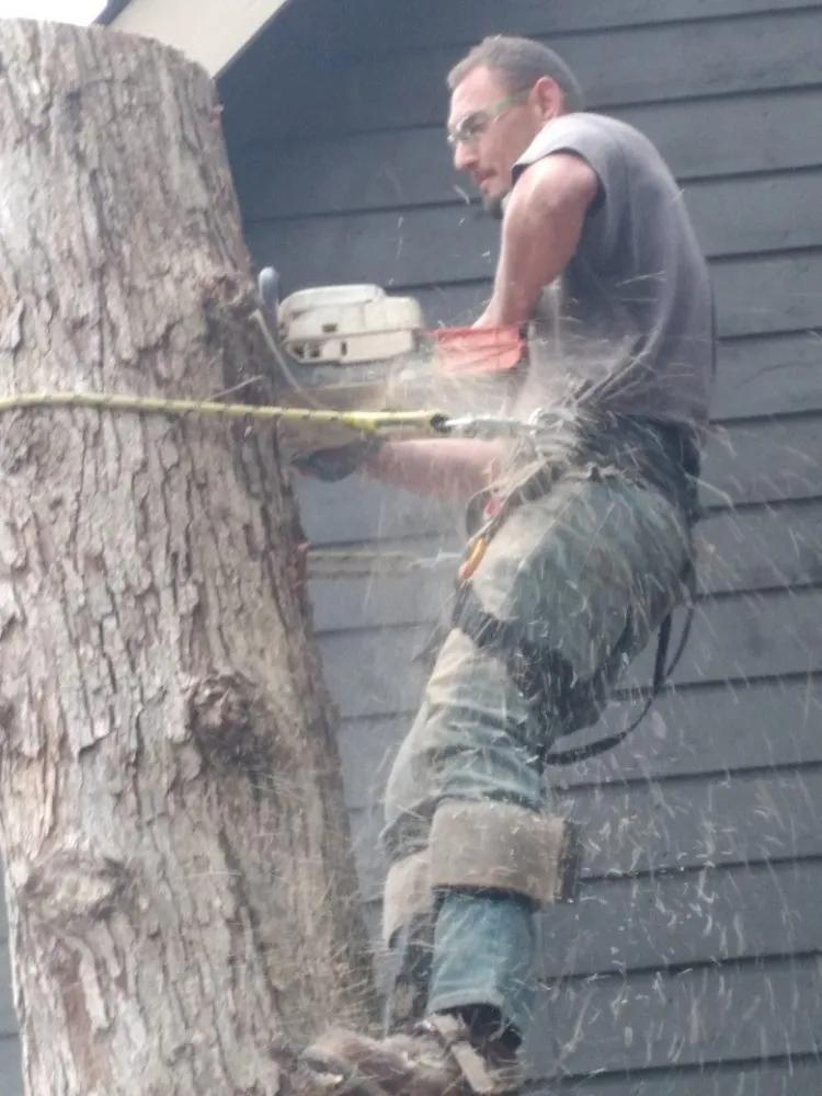 Local lawn care service for outdoor upgrades in Newport, TN by Barrington Landscaping