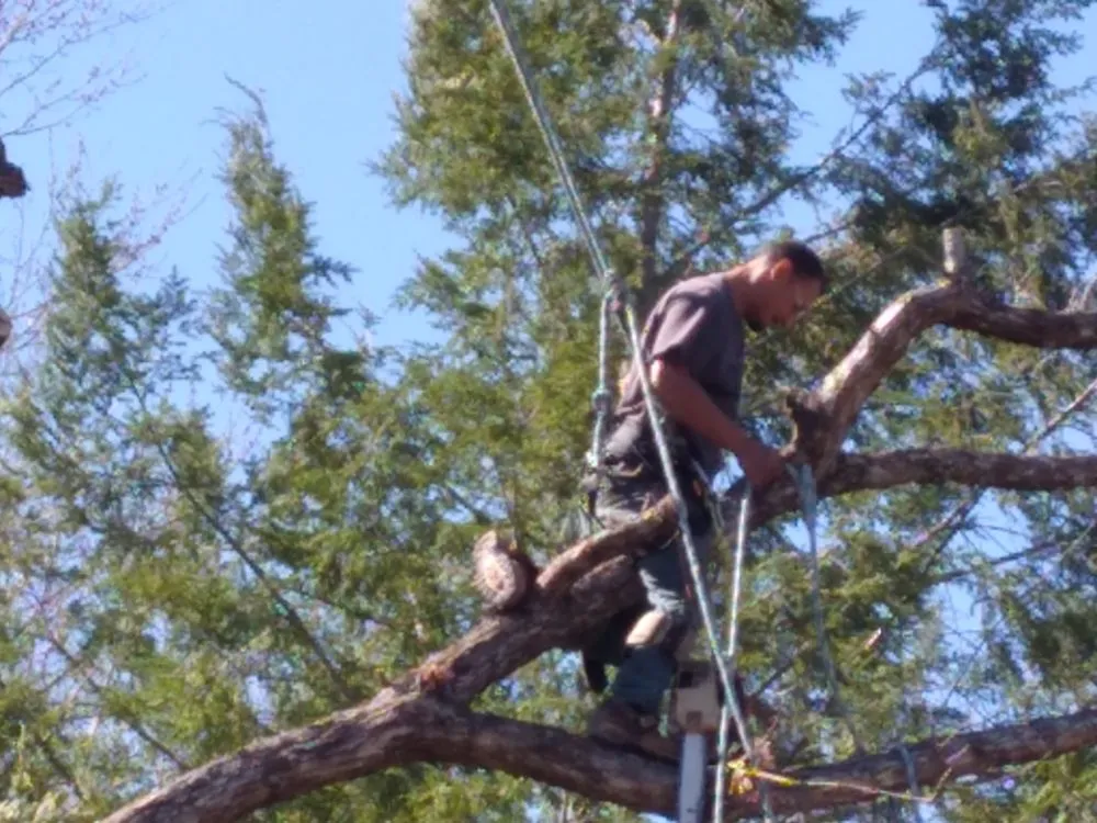 Affordable lawn mowing service experts serving Newport, TN - Barrington Landscaping