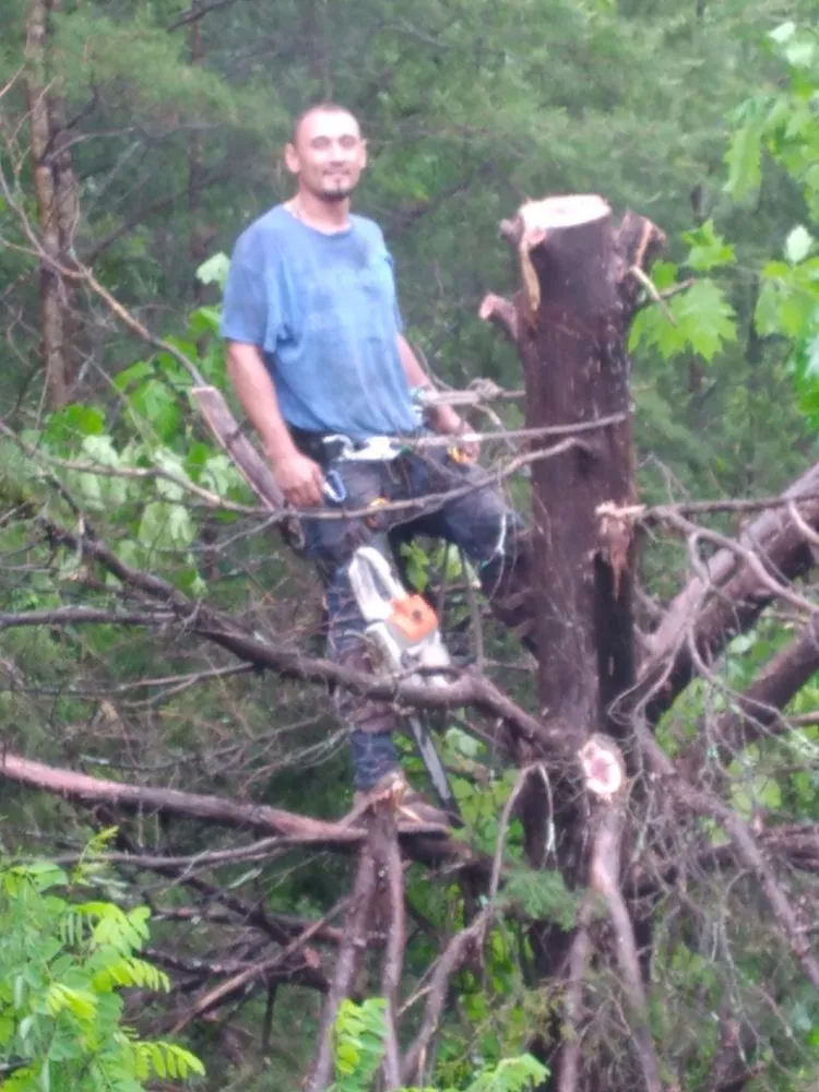 Affordable outdoor landscaping for outdoor upgrades across Newport, TN - Barrington Landscaping