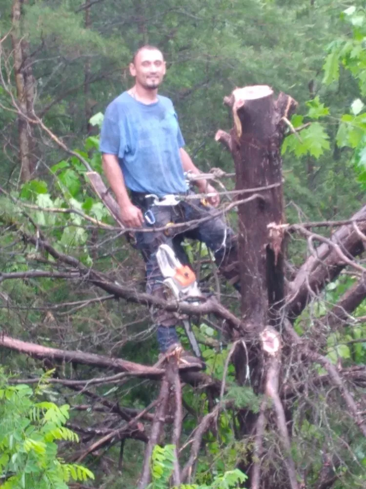 Expert yard cleanup service in Newport, TN by Barrington Landscaping