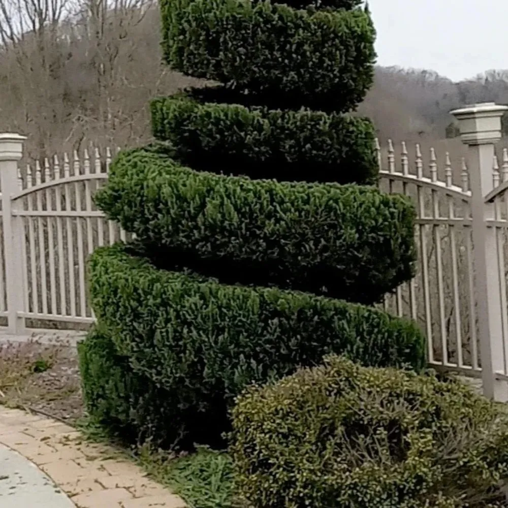 Custom yard cleanup service experts serving Newport, TN - Barrington Landscaping