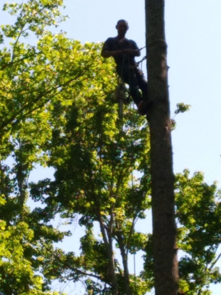 Custom residential landscaping for outdoor upgrades in Newport, TN by Barrington Landscaping