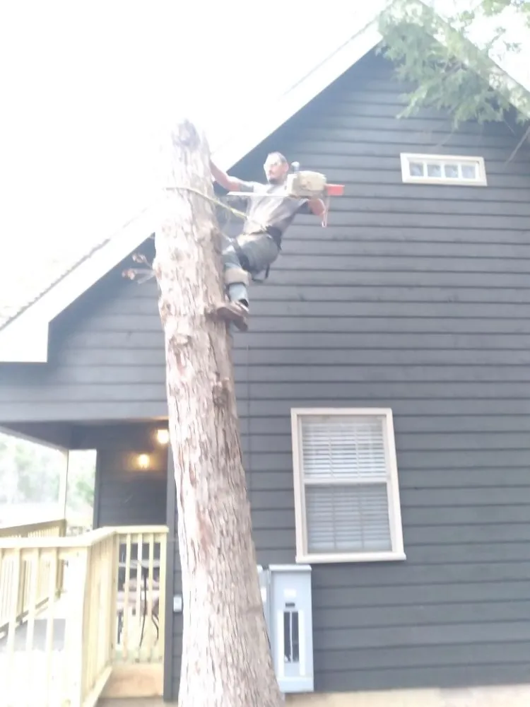 Affordable lawn care service experts serving Newport, TN - Barrington Landscaping