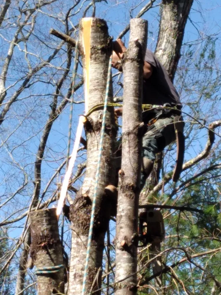 Local landscaping services in Newport, TN by Barrington Landscaping