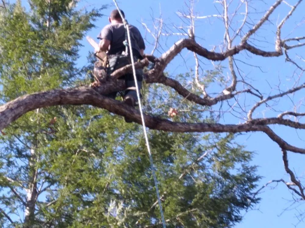 Affordable landscape design for outdoor upgrades across Newport, TN - Barrington Landscaping