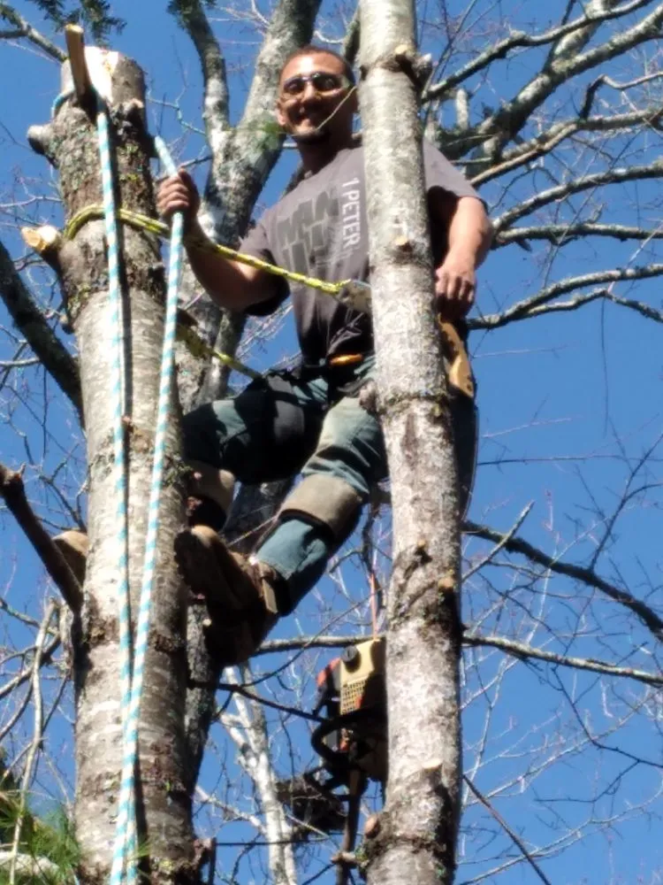 Top-rated lawn mowing service for homes across Newport, TN - Barrington Landscaping