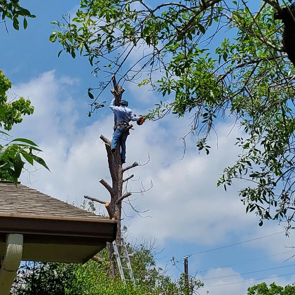 Professional outdoor landscaping in Burnet, TX by Barrios Bro's Landscaping