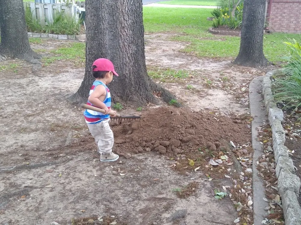 Reliable landscape installation for outdoor upgrades in Burnet, TX by Barrios Bro's Landscaping