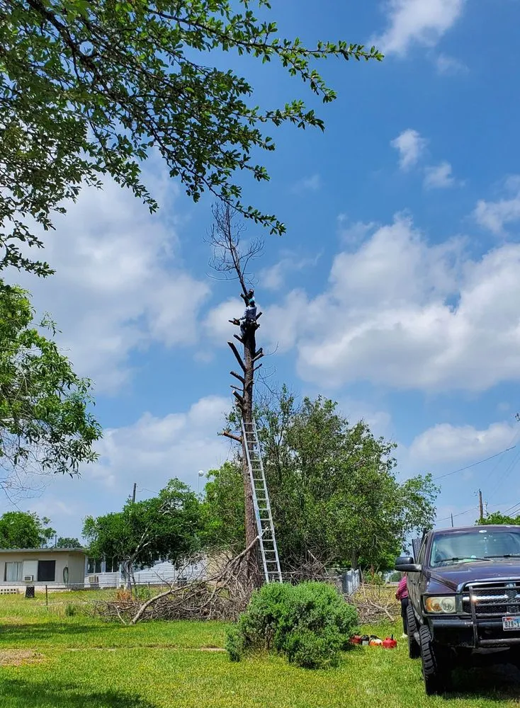 Professional landscape installation in Burnet, TX by Barrios Bro's Landscaping