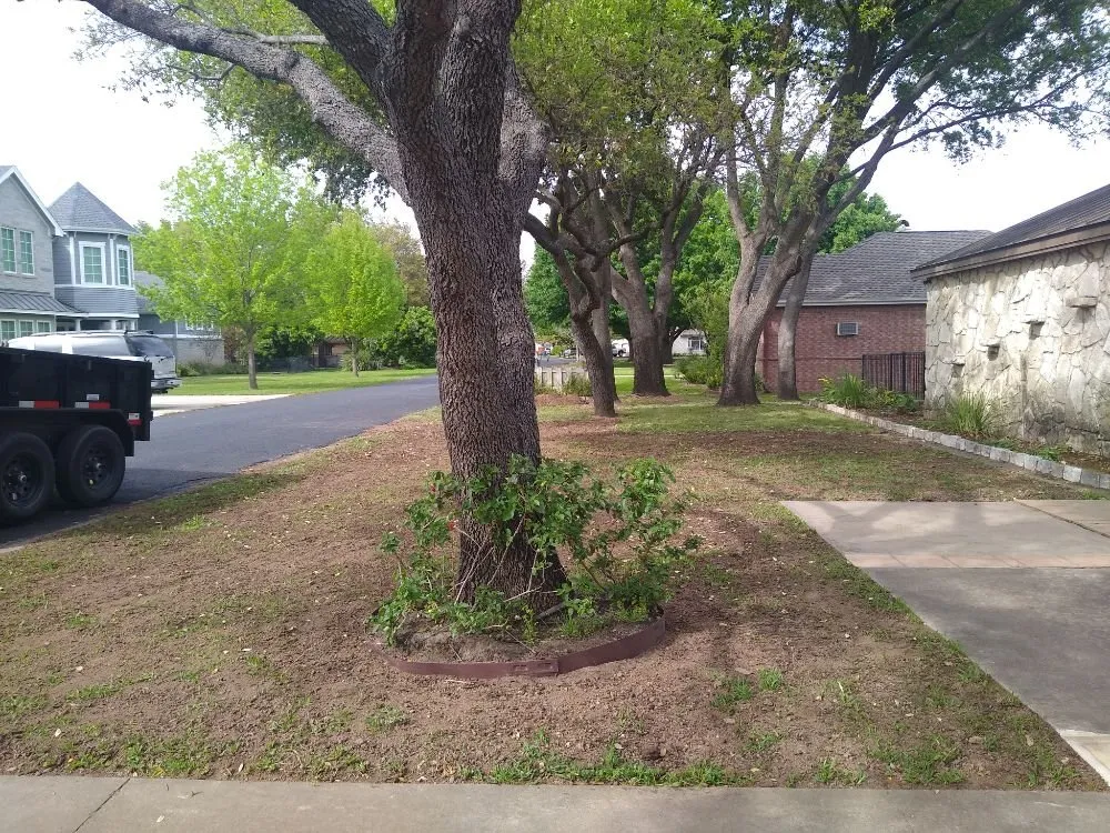Reliable lawn care service with custom design across Burnet, TX - Barrios Bro's Landscaping