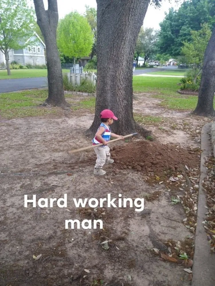 Professional yard cleanup service for year-round maintenance in Burnet, TX by Barrios Bro's Landscaping