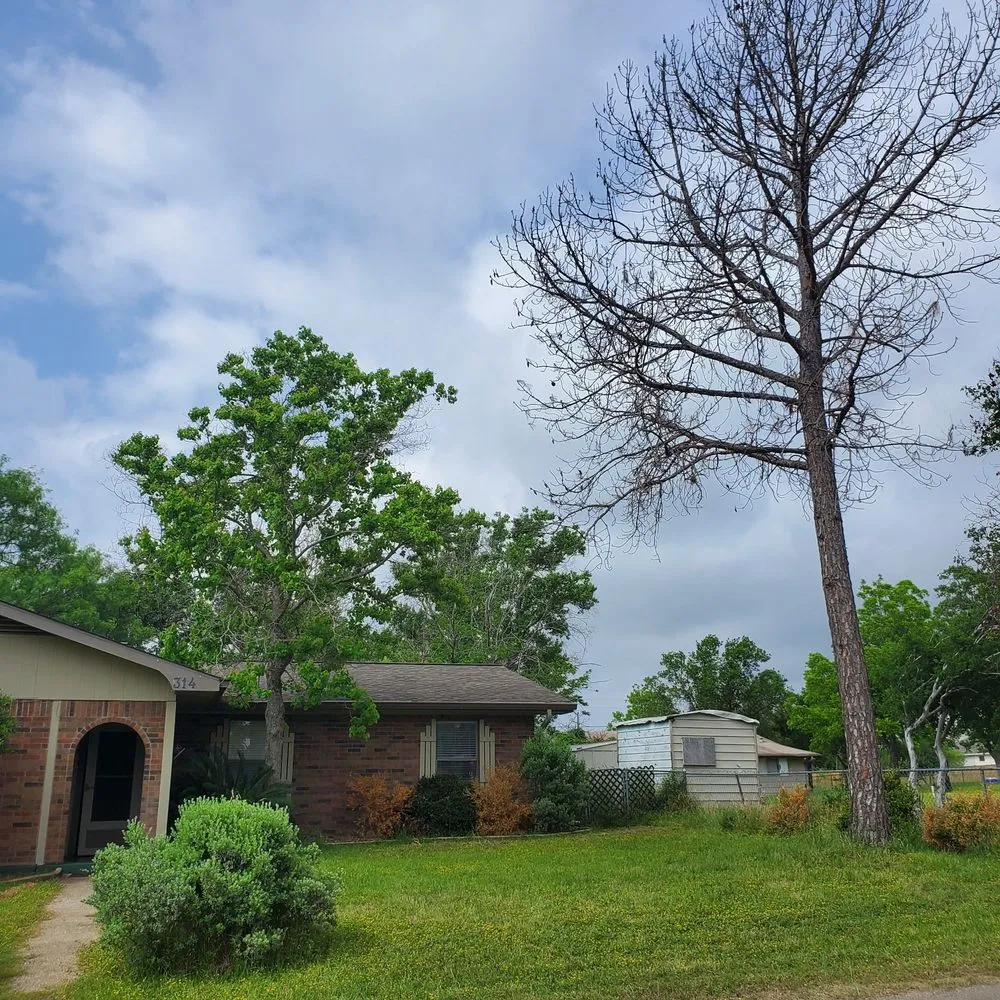 Affordable yard cleanup service experts serving Burnet, TX - Barrios Bro's Landscaping