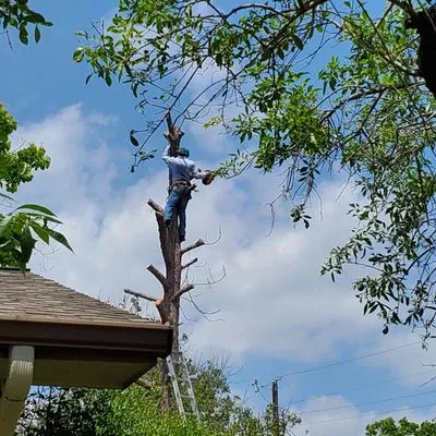 Barrios Bro's Landscaping