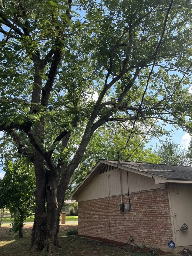 Reliable outdoor landscaping for beautiful yards in Burnet, TX by Barrios Bro’s Lawn Care