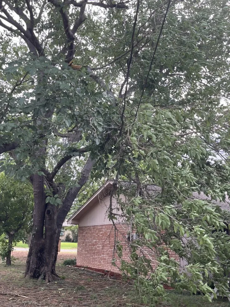 Local lawn mowing service for homes across Burnet, TX - Barrios Bro’s Lawn Care