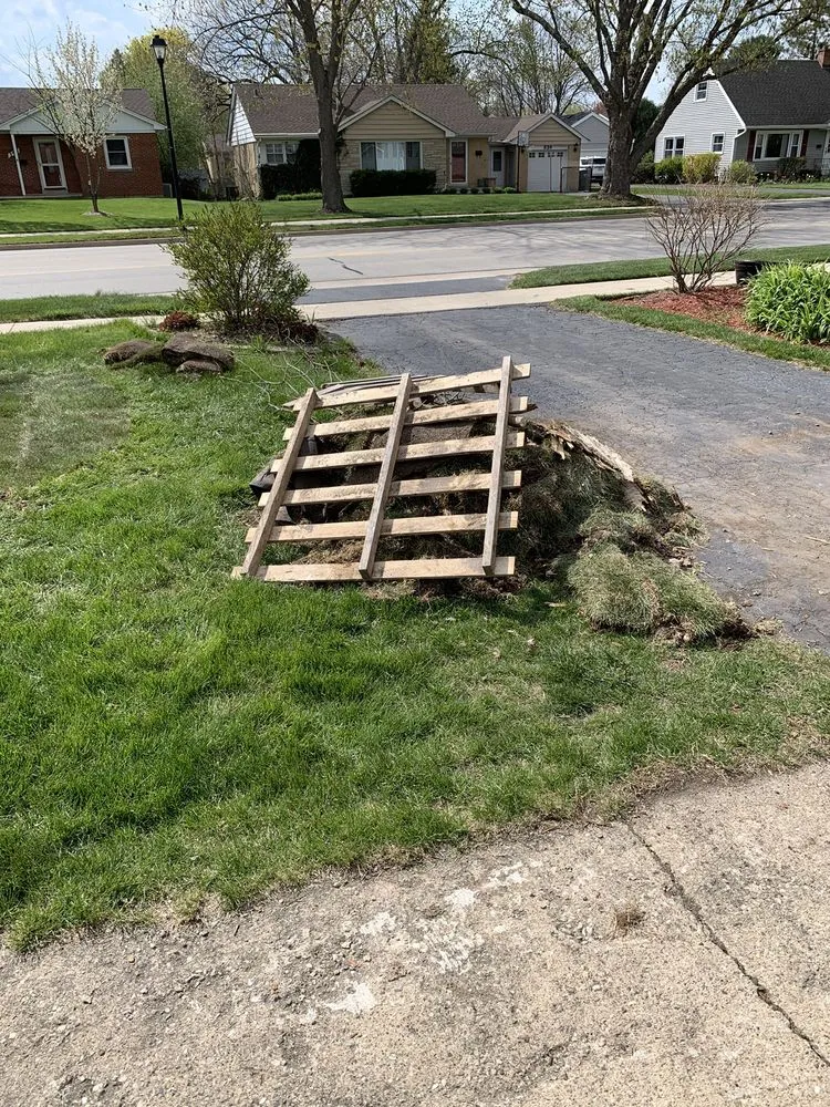 Reliable lawn care service near you in Mundelein, IL by Barrios Construction