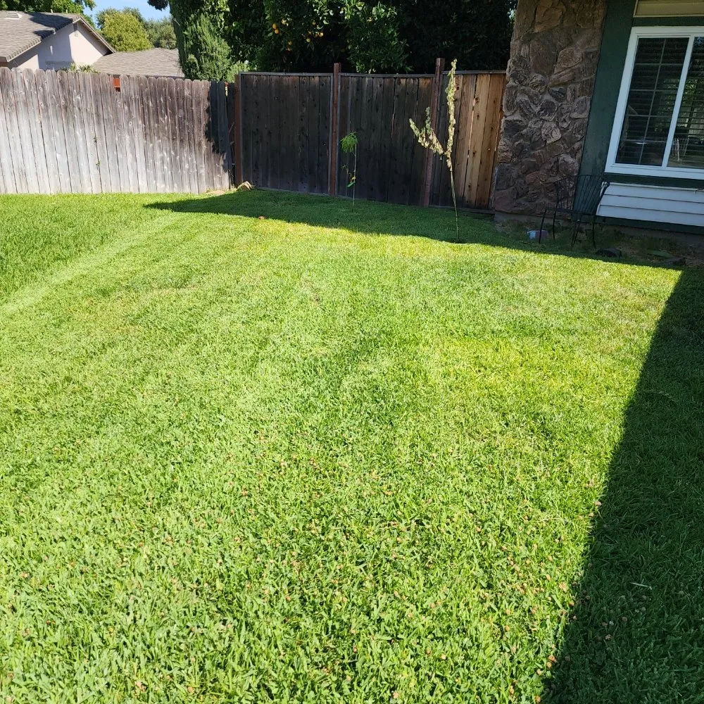 Top-rated landscape installation in Sacramento, CA by Barrios Garden Service