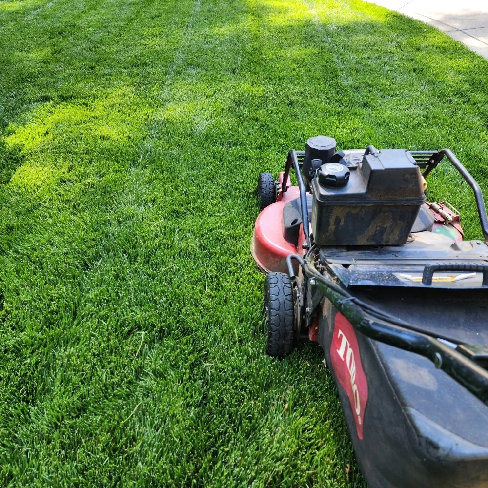 Affordable yard maintenance for outdoor upgrades across Sacramento, CA - Barrios Garden Service