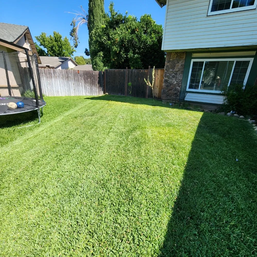 Top-rated landscape installation experts serving Sacramento, CA - Barrios Garden Service