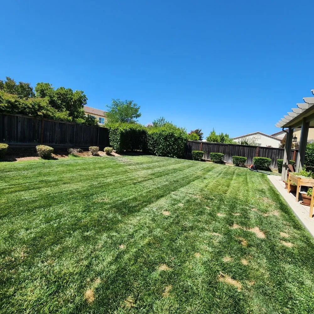 Professional lawn care service experts serving Sacramento, CA - Barrios Garden Service