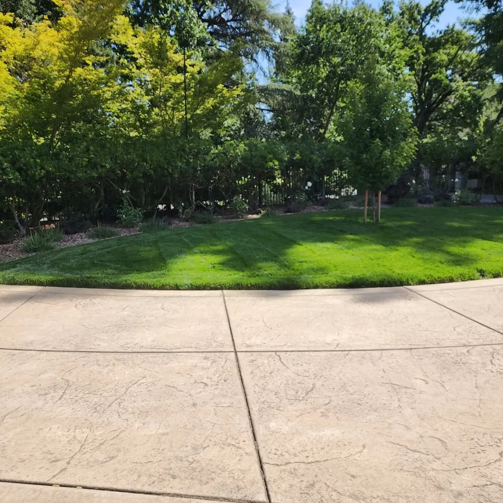 Reliable landscape design for year-round maintenance across Sacramento, CA - Barrios Garden Service
