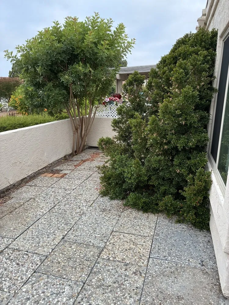 Trusted outdoor landscaping experts serving San Diego, CA - Barrios Landscape